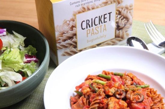 Carrefour lanza productos con insectos: ¿pueden venderse ya en España?