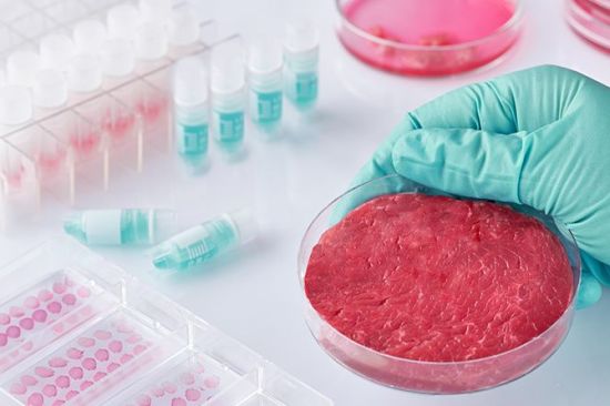 La carne, la leche y los huevos del futuro se fabrican en el laboratorio