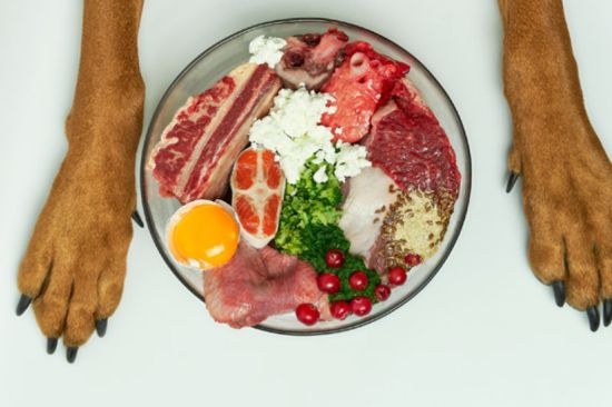 Dieta BARF para mascotas: sin evidencia científica y con riesgos (también para ti)