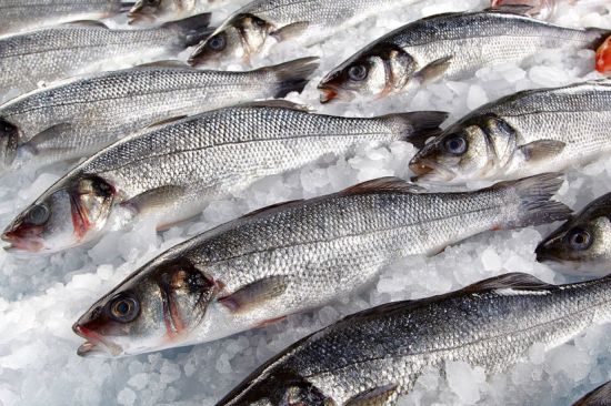 Consultorio nutricional: anisakis y mercurio en el pescado, pollos de corral y surimi