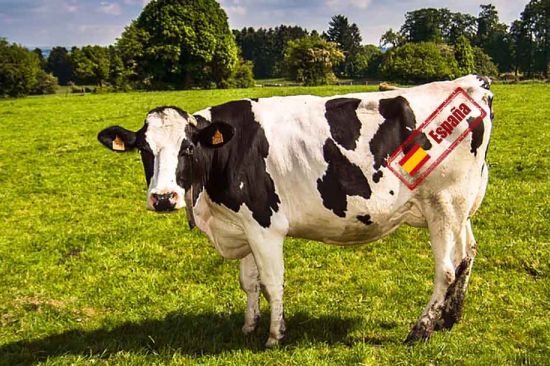 Leche, dime de dónde vienes