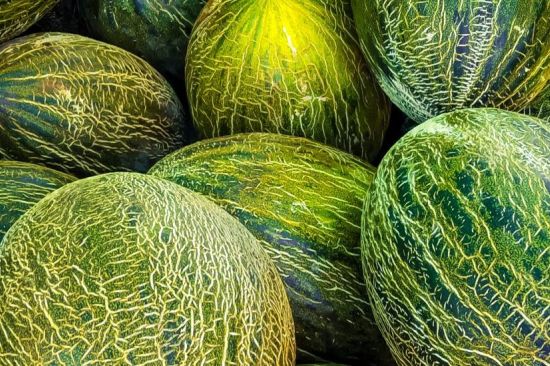 Consultorio nutricional: melones hembra y cacao alcalinizado
