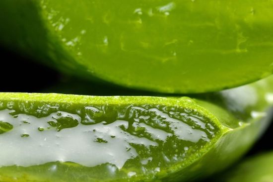 Consultorio nutricional: alimentos con triptófano y aloe vera para comer