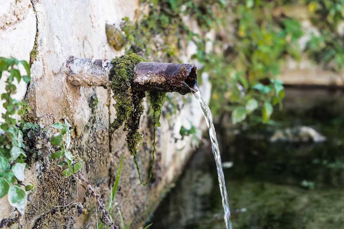 agua cruda agua cruda agua cruda
