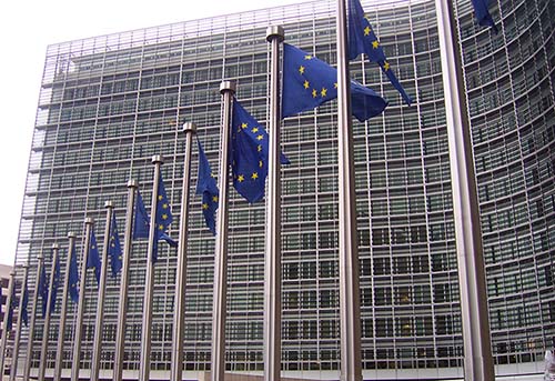 comision europea insectos